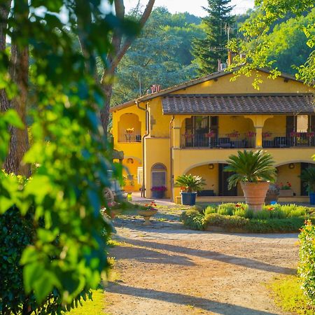 Villa Poggio Di Gaville 멜레토 외부 사진
