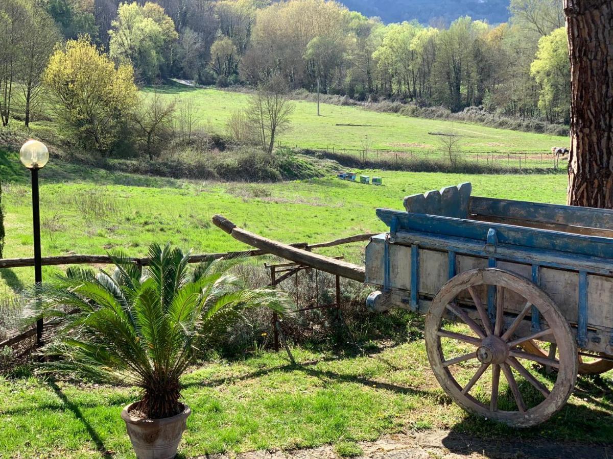 Villa Poggio Di Gaville 멜레토 외부 사진